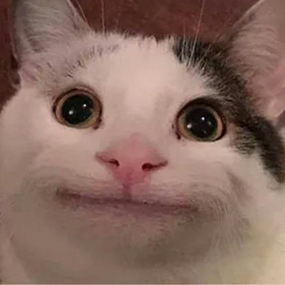 Meet your Posher, Chris - Picture 1 of 1